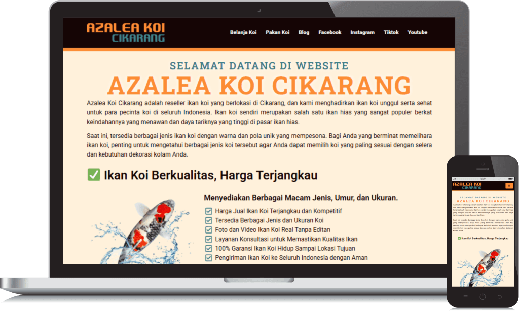 portofolio jasa pembuatan website wahyu pilar jaya